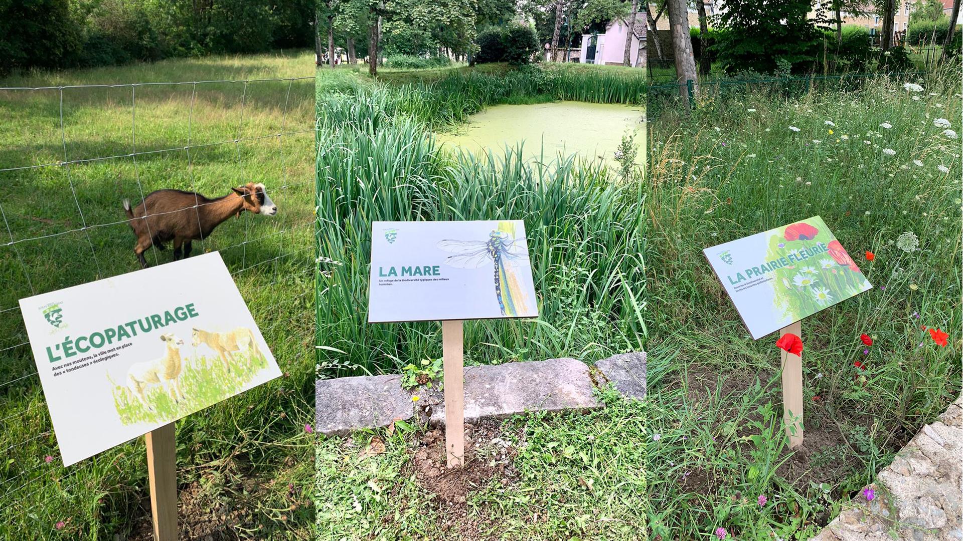 Dessin, Affiches ville de Jouy-en-Josas